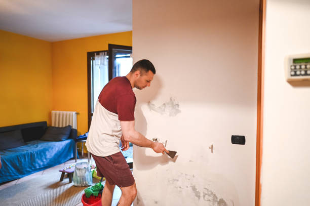 Best Mold Removal Near Me  in Dunkirk, NY